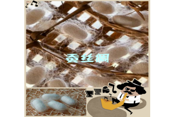 絲綢行業(yè)競爭日益加劇與行業(yè)發(fā)展影響分析（附報(bào)告目錄）