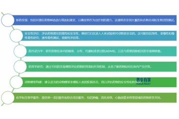 展望2025年：臨床前CRO行業(yè)面臨的機(jī)遇與挑戰(zhàn)分析
