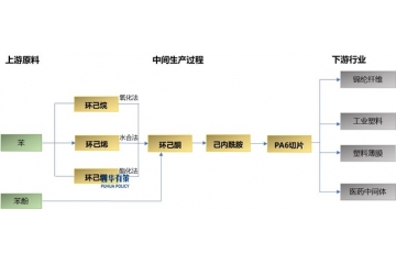 己內(nèi)酰胺副產(chǎn)物綜合利用行業(yè)發(fā)展軌跡、供需格局與競爭態(tài)勢