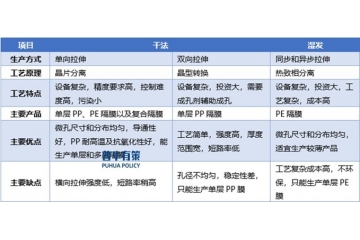 全面解析鋰電池隔膜行業(yè)：發(fā)展軌跡的深度回溯與前景展望