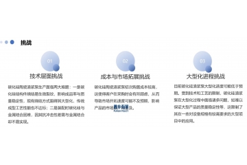 碳化硅陶瓷渣漿泵行業(yè)：現(xiàn)狀、挑戰(zhàn)與機(jī)遇