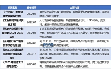 展望2025年綠氫產(chǎn)業(yè)：破局低碳未來的新引擎