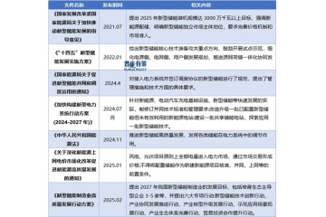 剖析新型儲能行業(yè)：2025年政策護(hù)航下的發(fā)展與困境