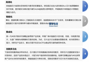 視覺芯片行業(yè)技術(shù)演進(jìn)、產(chǎn)業(yè)鏈生態(tài)與多元場景應(yīng)用研究