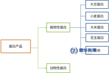 植物蛋白行業(yè)現(xiàn)狀、市場(chǎng)趨勢(shì)、產(chǎn)業(yè)鏈結(jié)構(gòu)與重點(diǎn)企業(yè)梳理
