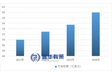 內(nèi)鏡診療器械行業(yè)全景解析：概況、趨勢與競爭格局