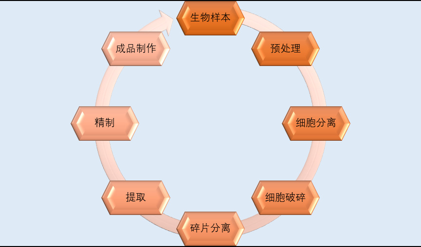 2020-2026年中國生物科學(xué)儀器行業(yè)投資前景專項(xiàng)報(bào)告(圖1)